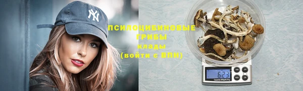 каннабис Абаза