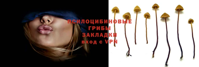 стафф Алексеевка