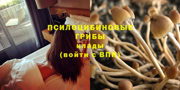 каннабис Абаза