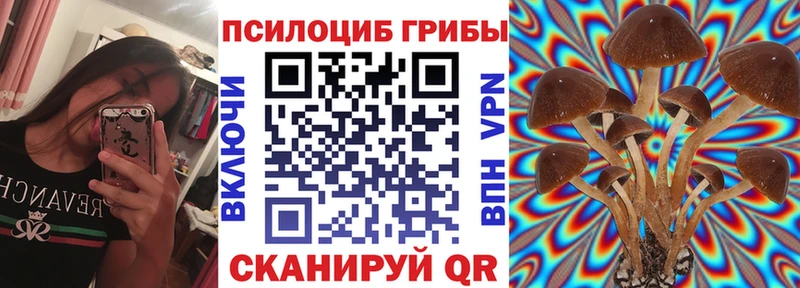 купить наркотик блэк спрут как зайти Галлюциногенные грибы Psilocybine cubensis Благовещенск